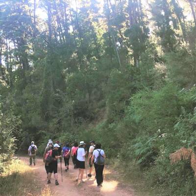 Πεζοπορία και σήμανση αιωνόβιων δέντρων στο Σελλά