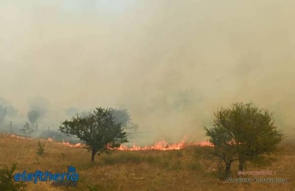 Διήμερο εργαστήριο στη Μεγαλόπολη για τις δασικές πυρκαγιές
