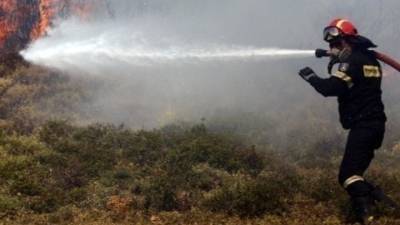 Ηλεία: Χωρίς ενεργό μέτωπο η πυρκαγιά. Διάσπαρτες εστίες σε Λάττα και Πρόδρομο
