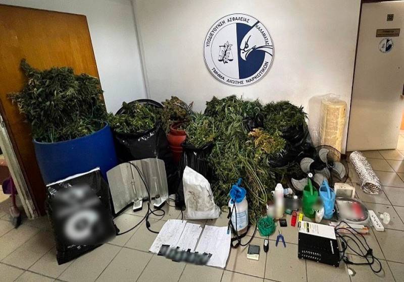 Δίωξη Ναρκωτικών Καλαμάτας: Δύο συλλήψεις για 30 κιλά χασίς και 724 δενδρύλλια (φωτογραφίες-βίντεο)