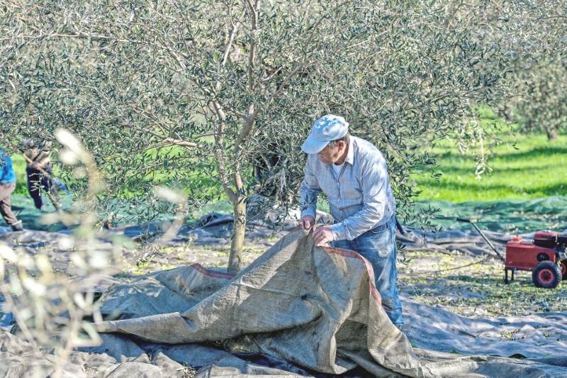 Μικρός ο κλήρος της γεωργίας στην Πελοπόννησο