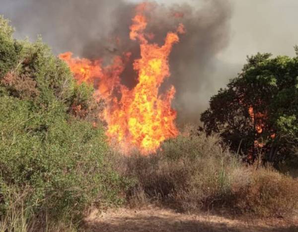 Μεσσηνία: Μεγάλη πυρκαγιά στη Σκάλα