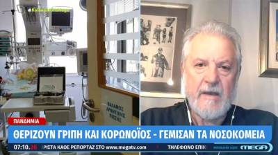 Καπραβέλος: Μπορεί να έχουμε και 200.000 κρούσματα γρίπης τη μέρα (Βίντεο)