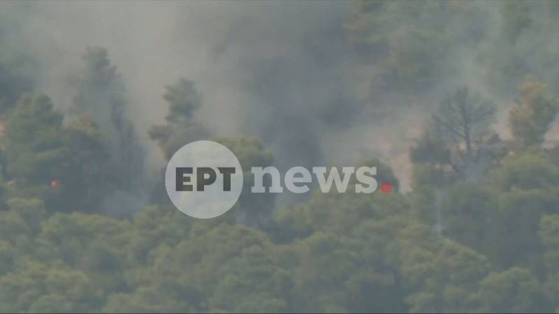 Σύγκρουση δύο ελικοπτέρων στο πύρινο μέτωπο της δυτικής Αττικής (βίντεο)