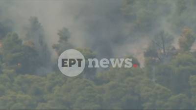 Σύγκρουση δύο ελικοπτέρων στο πύρινο μέτωπο της δυτικής Αττικής (βίντεο)