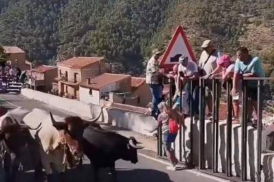 Ισπανία: Νεκρή 64χρονη από επίθεση ταύρου κατά τη διάρκεια ταυροδρομίας