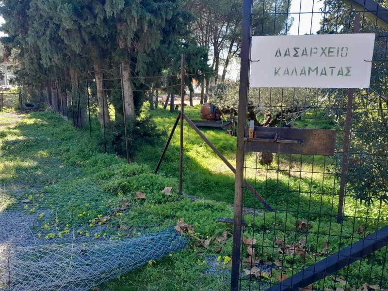 Κωμικοτραγικές καταστάσεις για την κατασκευή Πάρκου Ελιάς: Δασαρχείο κατά εργολάβου του Δήμου Καλαμάτας! 