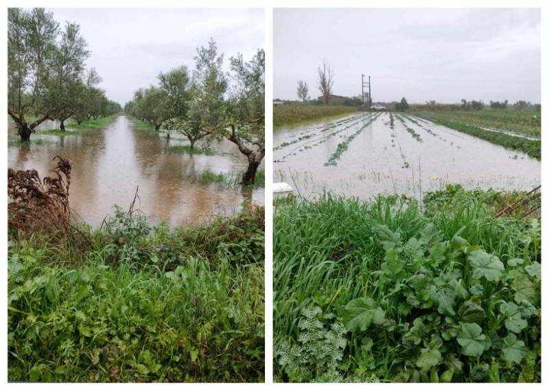 Πλημμύρισαν κτήματα στη Μικρομάνη