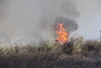 Σύλληψη 41χρονου για 5 εμπρησμούς: Εβαζε φωτιές από τα Αρφαρά μέχρι τη Μεγαλόπολη