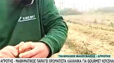 Αγρότης-μαθηματικός παράγει χρωματιστά λαχανικά για gourmet κουζίνα!