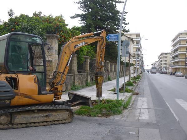 Θα φυτεύσουν μουριές 