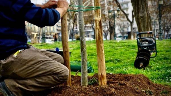 Θεσσαλονίκη: Το πρώτο βρώσιμο δάσος «γεννιέται» στη Νεάπολη με 750 δέντρα