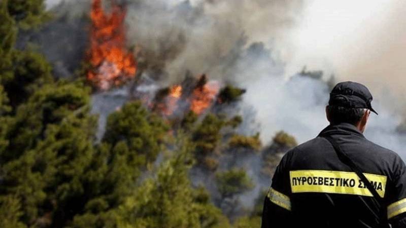 Σε εξέλιξη πυρκαγιά στα Μέγαρα (βίντεο)