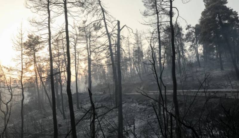Εύβοια: Το 1/3 των δασών έγινε στάχτη κατά την μεγάλη φωτιά