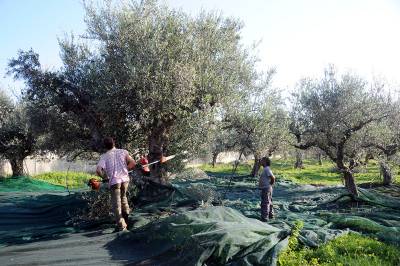 «Ναι» στην τροποποιημένη πρόταση αγοράς του Αγροτικού Γαργαλιάνων 