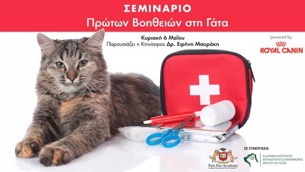 Σεμινάριο Πρώτων Βοηθειών Για την Γάτα στην Αθήνα