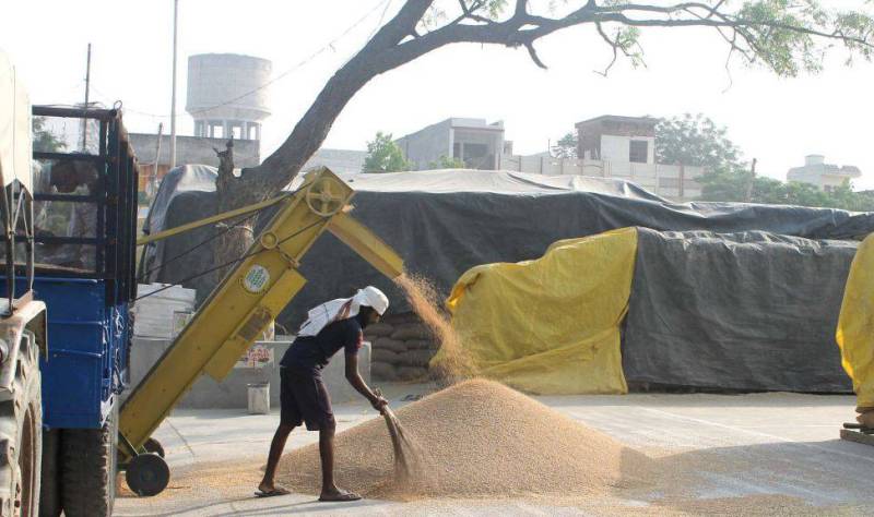 Ινδία: Η κυβέρνηση του Νέου Δελχί απαγόρευσε τις εξαγωγές σιτηρών