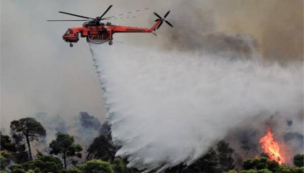 Μεσσηνία: Υψηλός σήμερα ο κίνδυνος πυρκαγιάς
