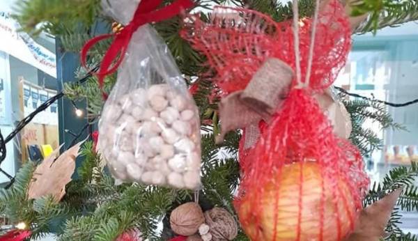 Στο ΑΠΘ στόλισαν Χριστουγεννιάτικο δέντρο με λαχανικά, φρούτα, όσπρια και ξηρούς καρπούς