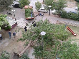 Συνεργείο του Δήμου απομάκρυνε το δέντρο από την πλατεία Ελευθερίας