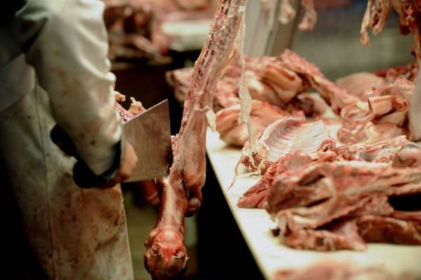 Σχολή Επαγγελμάτων Κρέατος στην Καλαμάτα ζητεί ο Τατούλης