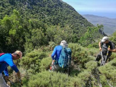 Καθαρισμός μονοπατιού από τον Ορειβατικό Καλαμάτας