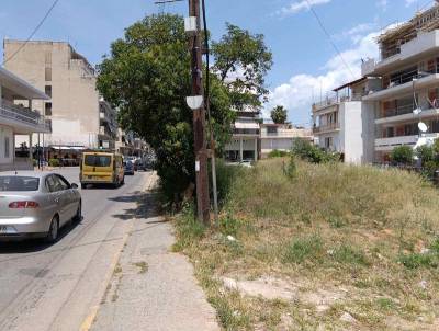 Δημοτικός… μπαζότοπος