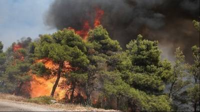 Πυρκαγιά στην Φέριζα της Κερατέας- 112 στους κατοίκους να κινηθούν προς Παλαιά Φώκαια