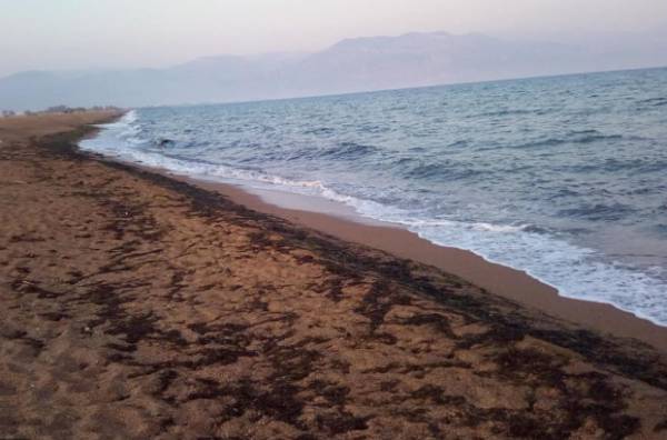 Εθελοντική δράση στην παραλία Αγίου Νικολάου της Μεσσήνης