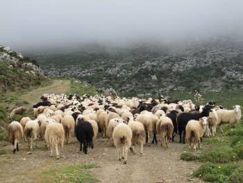 Καταστάσεις δικαιούχων και απορριπτόμενων για το πρόγραμμα βιολογικής κτηνοτροφίας