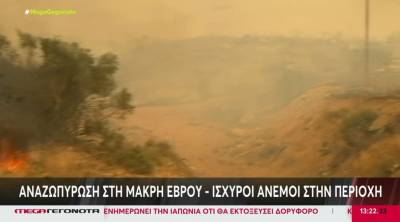 Αλεξανδρούπολη: 112 για εκκένωση τεσσάρων οικισμών - Διακοπή κυκλοφορίας στην Εγνατία οδό (Βίντεο)