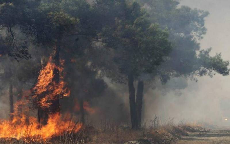 Μεγάλη πυρκαγιά σε δασική έκταση στη Δυτική Αχαΐα