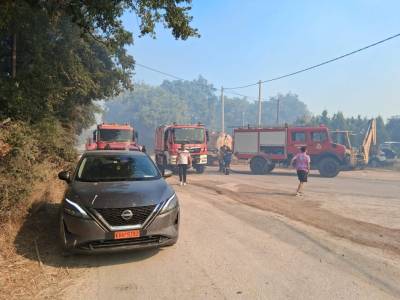 Σε ύφεση η φωτιά στη Βάρδα Ηλείας (βίντεο)