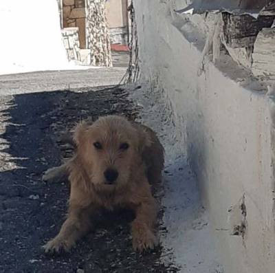 Μηλιώτη Δήμου Μεσσήνης: Έκκληση για να σωθεί!