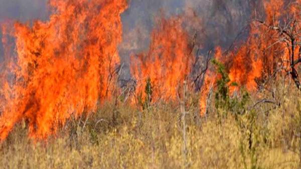 Ηράκλειο: Πυρκαγιά στο Δήμο Βιάννου