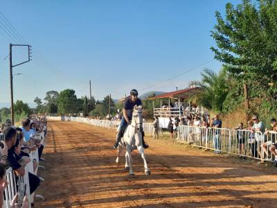 Συναρπαστικές Ιπποδρομίες και φέτος στο Πλατύ