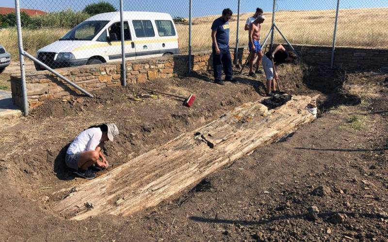 Γιγαντιαίος κορμός απολιθωμένου δένδρου βρέθηκε σε χωριό της Λήμνου