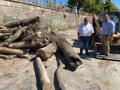 Απομάκρυναν κορμούς από την κοίτη του Νέδοντα