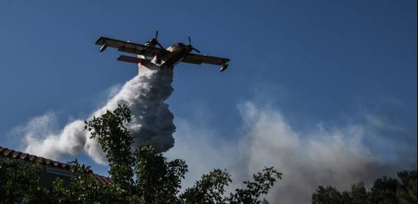 Έβρος: Φωτιά κοντά στο δάσος της Δαδιάς - Εκκενώνεται χωριό (βίντεο)