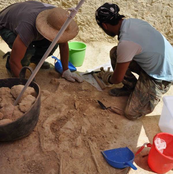 Το μυκηναϊκό νεκροταφείο των Αηδονίων στην Κορινθία αποκαλύπτει τα μυστικά του