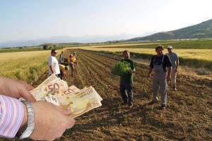 13% φόρος για τους αγρότες το 2014 από το πρώτο ευρώ