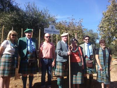 Σκωτσέζικο οικόσημο σε ελαιώνα των Γαργαλιάνων (βίντεο)