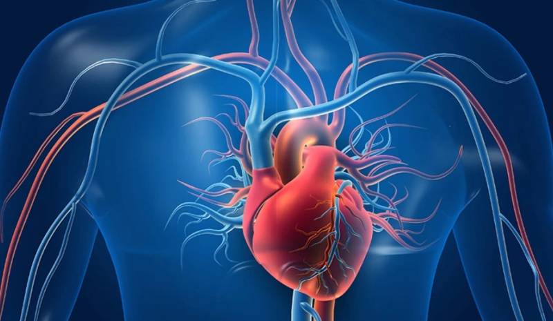 Σύνδεση μεταξύ της υγείας της καρδιάς και του εγκεφάλου εντοπίζει βρετανική έρευνα