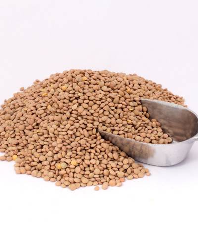 Τα όσπρια σε τιμή κρέατος - Είδος πολυτελείας φασόλια και φακές