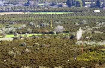 Εκτίμηση ζημιών για τις καταστροφές ζητεί ο Δ. Μεσσήνης