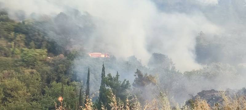 Μεσσηνία: Χωρίς ενεργό μέτωπο η πυρκαγιά στη Μεταμόρφωση