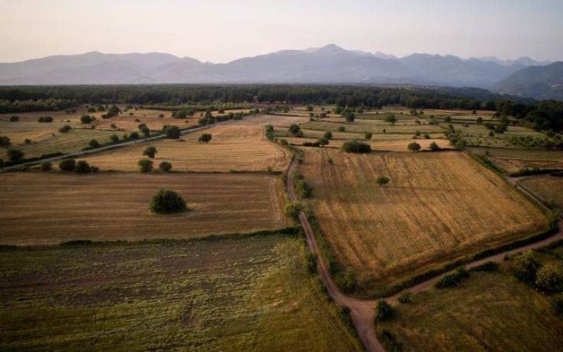 Αμαλιάδα: Άνδρας βρέθηκε κρεμασμένος στο χωράφι του