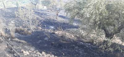 Μεσσηνία: Πυρκαγιά στην Κάτω Μέλπεια - Σκέψεις για εκκένωση οικισμών