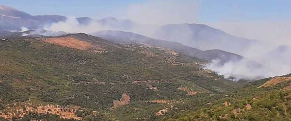 Ανω Μεσσηνία: Ξανά οι φλόγες γύρω από το Καρνάσι - Εκκενώνεται το Δασοχώρι