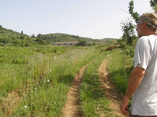 Μεσσηνία: Φάρμα καλλιέργειας κλωστικής κάνναβης κοντά στο Πεταλίδι (φωτογραφίες)
